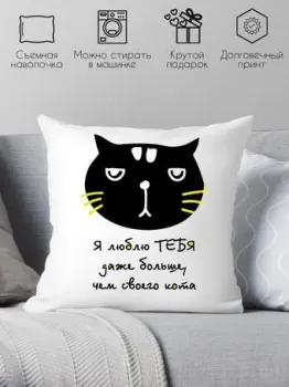 Print Style Я люблю тебя даже больше, чем своего кота 40x40new25
