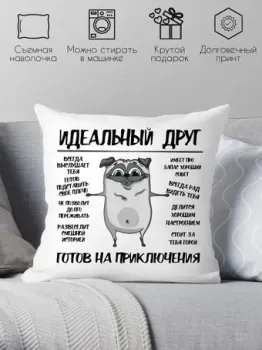 Print Style Идеальный друг - готов на приключения 40х40new10