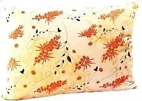 Kariguz Облепиха МПО10-2 (60x40 см)