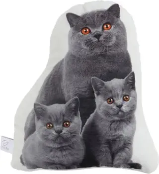 Этель Cat family 10864246