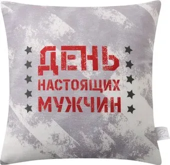 Этель День настоящих мужчин 10805392 (40x40, велюр)