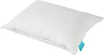 Askona Grey Goose 70x50
