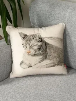 Espera Home Deco ДК/Кот 1 45x45