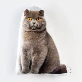 Этель Кот 6030065