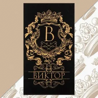 Этель Виктор 7166971 (черный)