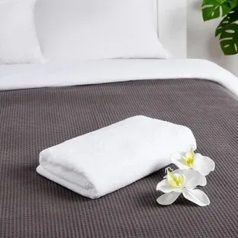 Этель Hotel 2495500 (белый)
