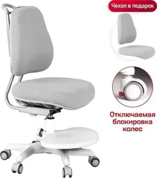 Anatomica Ragenta (серый)
