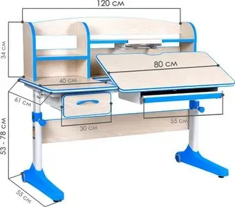 Anatomica Uniqa (клен/голубой)