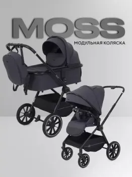 Rant Moss 2 в 1 RA321 2025 (graphite)
