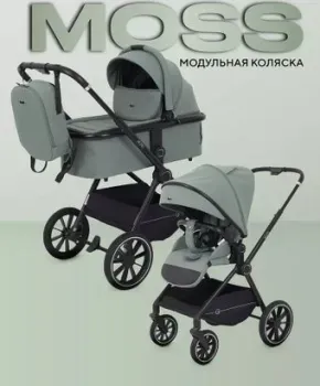 Rant Moss 2 в 1 RA321 2025 (green)