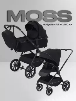 Rant Moss 2 в 1 RA321 2025 (black)