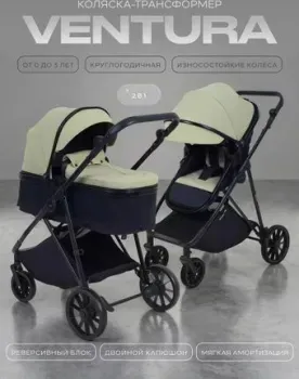 Rant Basic Ventura RA165 (green)