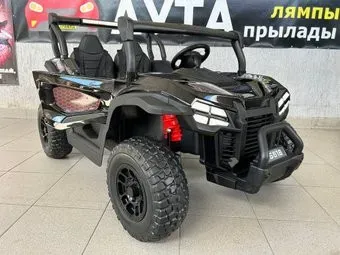 Baby Driver Buggy F444 (черный)