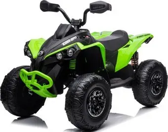 RiverToys BRP Can-Am Renegade (Y333YY) (зеленый)