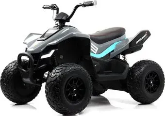RiverToys JL212 (P111BP) (серый)