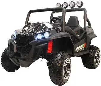 RiverToys Buggy T888TT 4WD (черный паук)