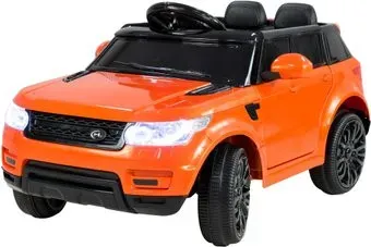 Sundays Range Rover BJ1638