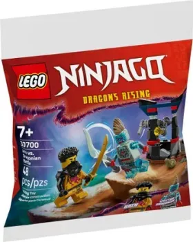 LEGO Ninjago 30700 Битва Арина с Драконианцем