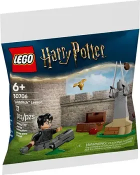 LEGO Harry Potter 30706 Урок по квиддичу