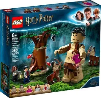 LEGO Harry Potter 75967 Запретный лес: Грохх и Долорес Амбридж