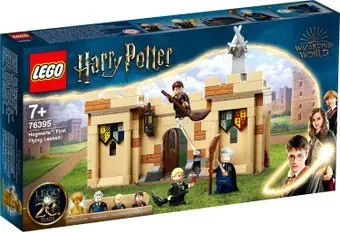 LEGO Harry Potter 76395 Хогвартс: первый урок полетов