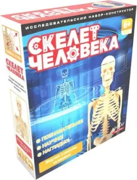 ND Play Скелет человека 277382 NDP-058