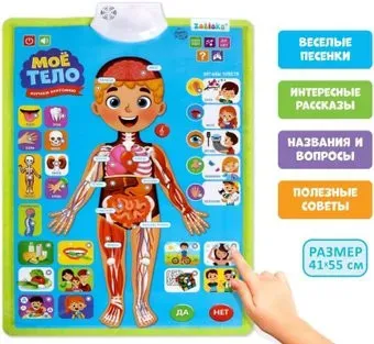 Zabiaka Изучаем анатомию: Мое тело 5148294