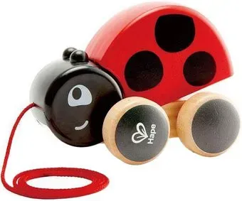 Hape Божья коровка E0362