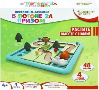 Рыжий кот Головоломка Веселое IQ-развитие. В погоне за призом ИК-8714