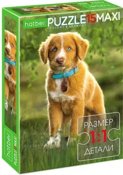 Hatber Maxi Мой лучший друг 15ПЗ4_28371