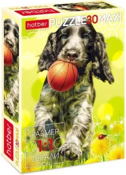 Hatber Maxi Веселый щенок 30ПЗ4_27674