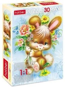 Hatber Maxi Зайка с цветами 30ПЗ4_00061