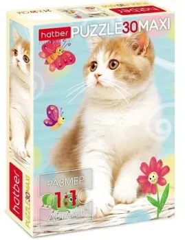 Hatber Maxi Пушистый котик 30ПЗ4_21022