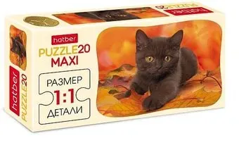 Hatber Maxi Котенок 20ПЗ5_04223