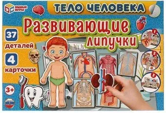Умные игры Тело человека 4680107930538