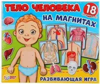 Умные игры Одень куклу. Тело человека 4680013714383