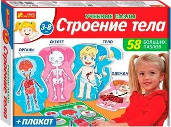 Ranok-Creative Строение тела 13120142Р