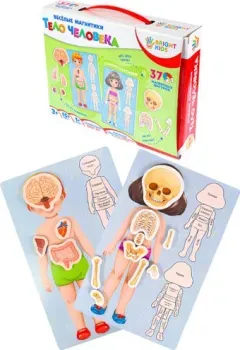 Bright Kids Веселые магнитики. Тело человека ИН-5520