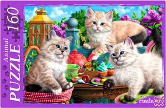 Рыжий кот Котята и сладости