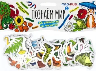 Анданте Mag-Rus Познаем мир 2 NF1058