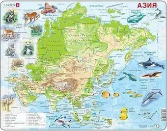 Larsen Животные Азии A30-RU