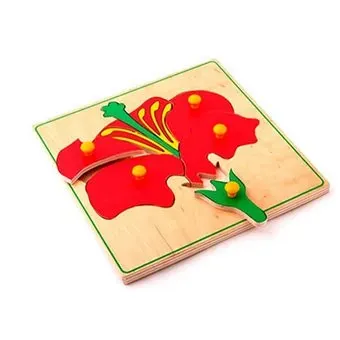 ЛЭМ Цветок и его части 1447