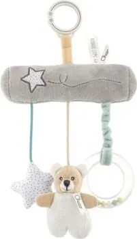Chicco Teddy Bear 00009715000000