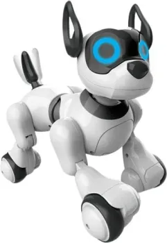 IQ Bot Собака Koddy 4376315