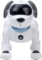 IQ Bot Дружок-трюкач 6905685