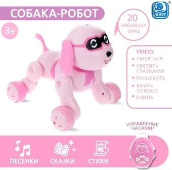 IQ Bot Charlie 17088 4376318