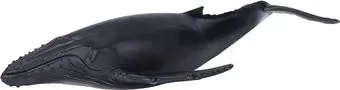 Konik Горбатый кит AMS3006