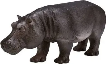Konik Бегемот Самка AMW2050