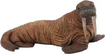 Collecta Морж 88569b