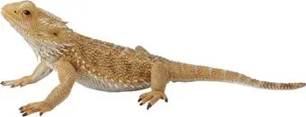 Collecta Бородатая ящерица 88567b